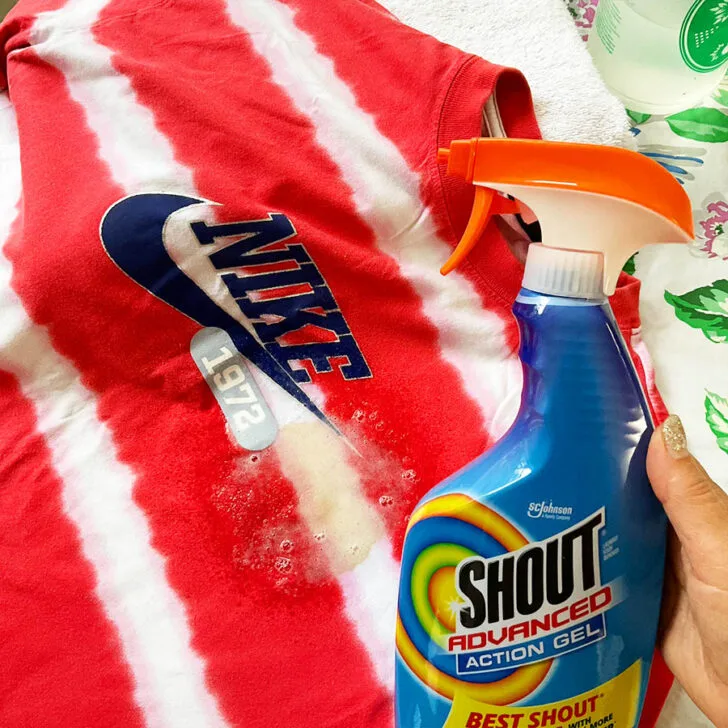 Shout Advanced Spray and Wash Laundry Stain Remover Gel, Best